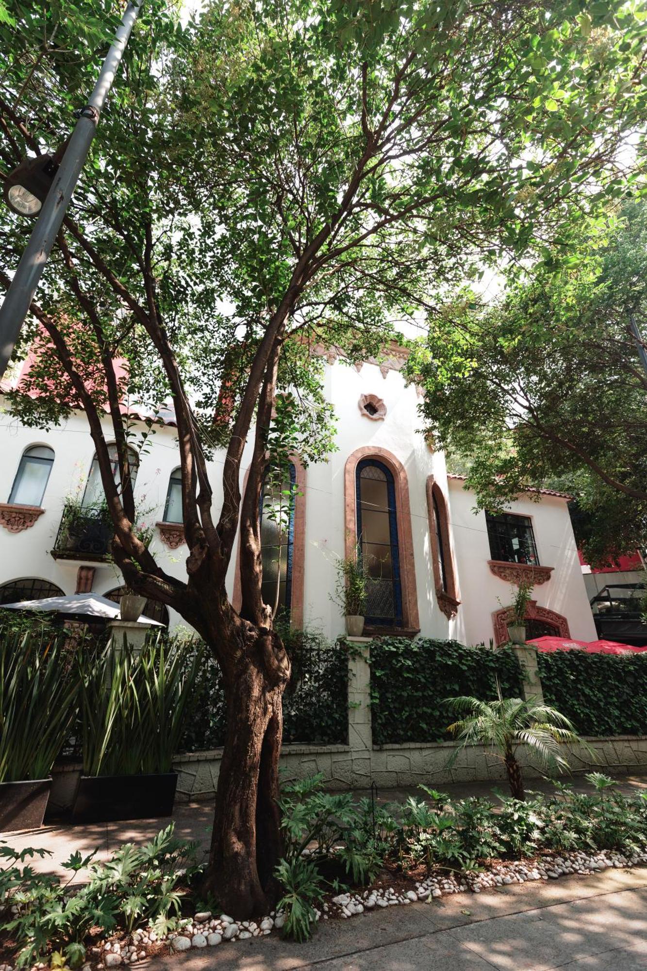 מלון מקסיקו סיטי Orchid House Polanco מראה חיצוני תמונה