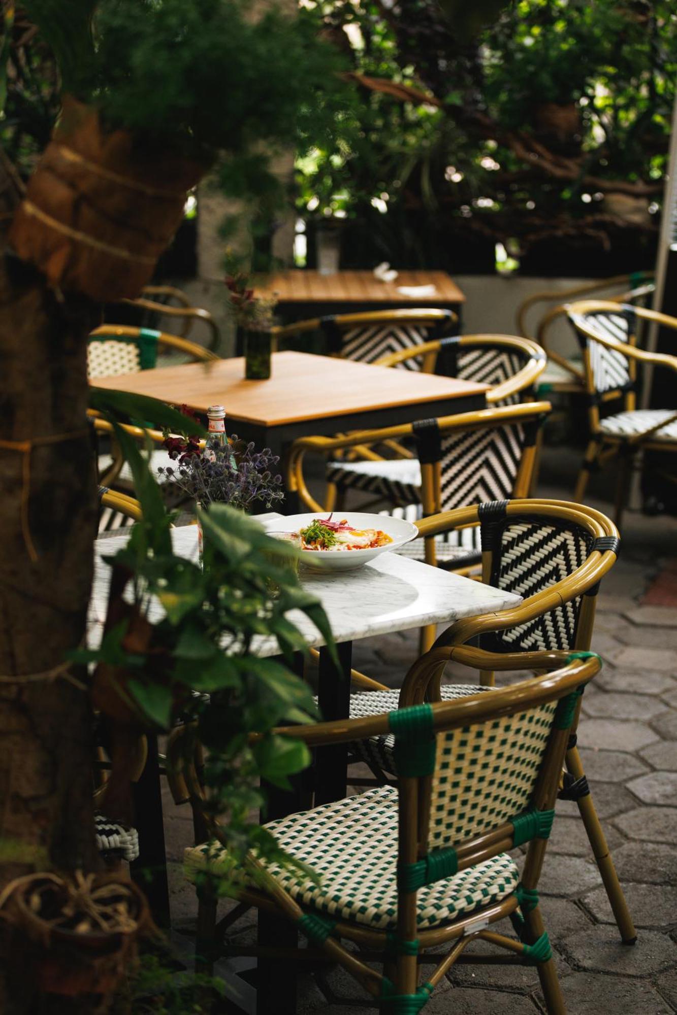 מלון מקסיקו סיטי Orchid House Polanco מראה חיצוני תמונה
