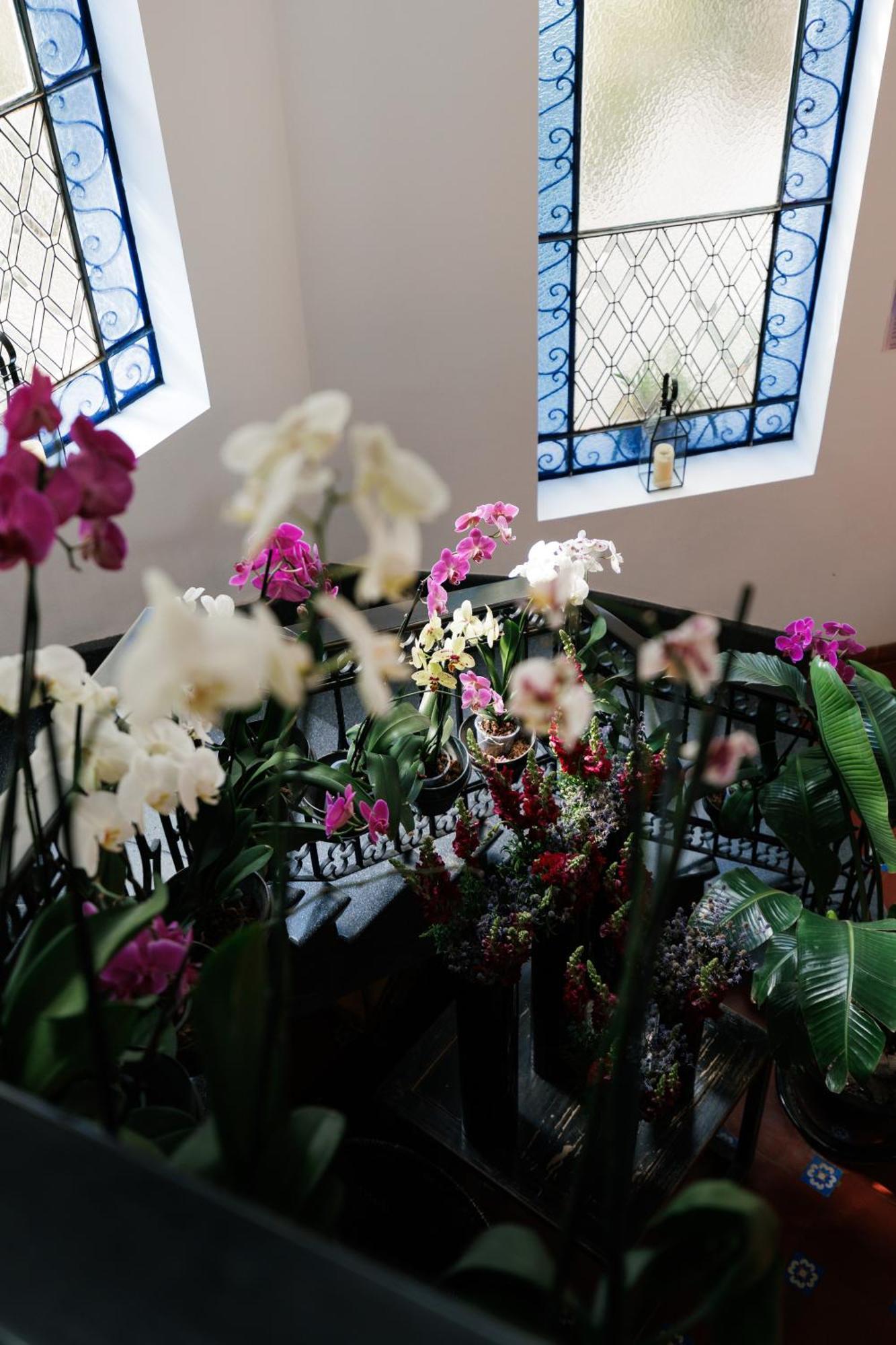 מלון מקסיקו סיטי Orchid House Polanco מראה חיצוני תמונה