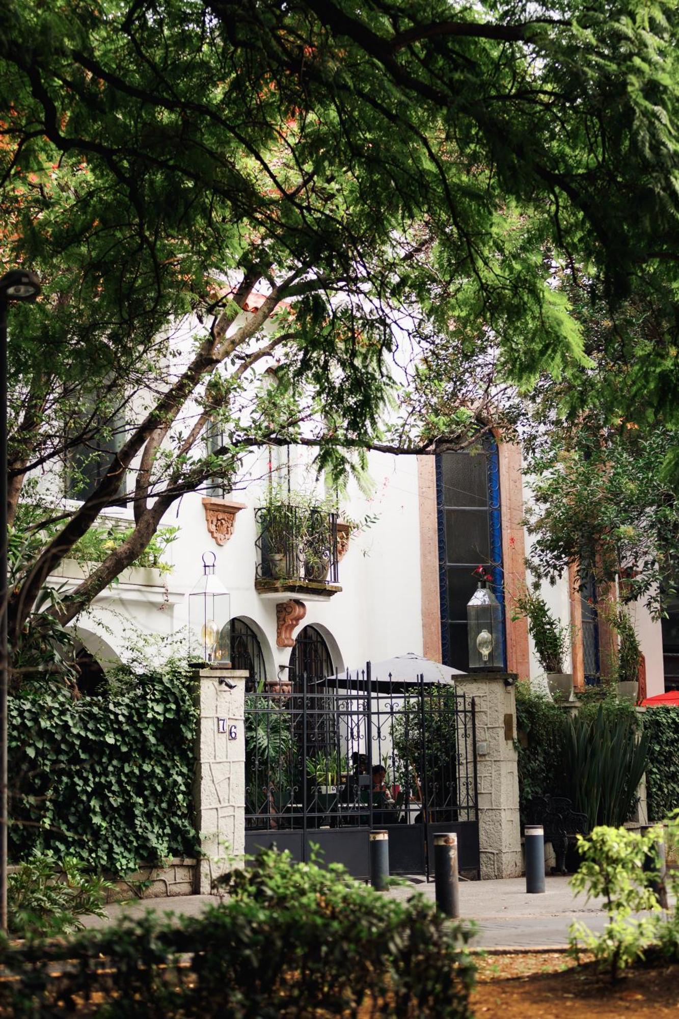 מלון מקסיקו סיטי Orchid House Polanco מראה חיצוני תמונה